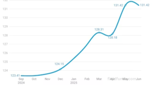 Commercial Insurance Rates